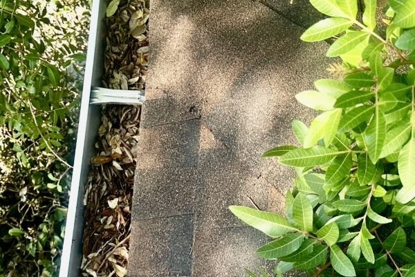 gutter-cleaning-service-company-near-me-in-orlando-fl-027