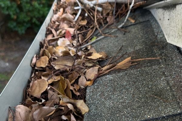 gutter-cleaning-service-company-near-me-in-orlando-fl-031