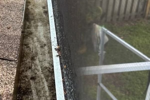 gutter-cleaning-service-company-near-me-in-orlando-fl-039