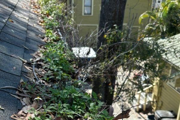 gutter-cleaning-service-company-near-me-in-orlando-fl-042