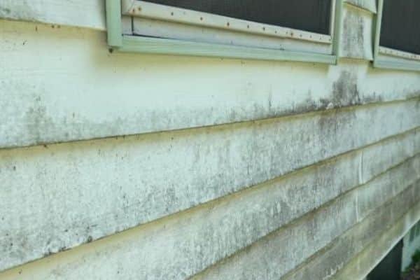 house-washing-service-company-near-me-in-orlando-fl-045