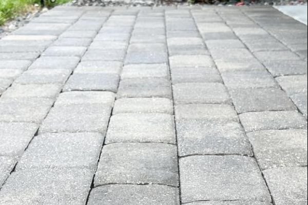 paver-sealing-cleaning-service-company-near-me-in-orlando-fl-077