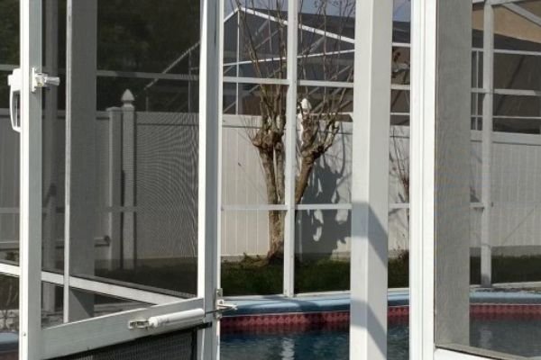 pool-screen-cleaning-service-company-near-me-in-orlando-fl-061