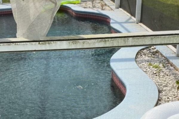 pool-screen-cleaning-service-company-near-me-in-orlando-fl-063