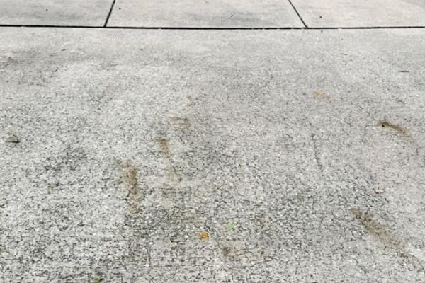 pressure-washing-service-company-near-me-in-orlando-fl-086