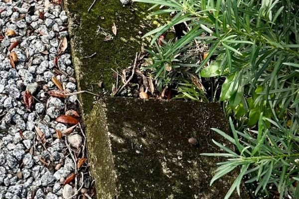 pressure-washing-service-company-near-me-in-orlando-fl-204