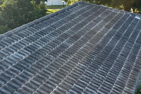 roof-cleaning-service-company-near-me-in-orlando-fl-009
